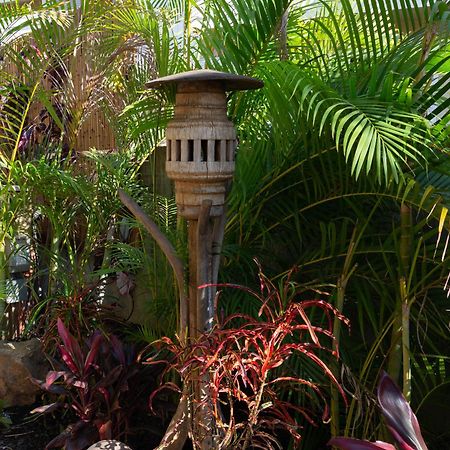 Lotus Suite, 1 Bedroom, Sleeps 4, Pool & Bbq, Pre-Renovation Summer Sale Kihei Exterior photo